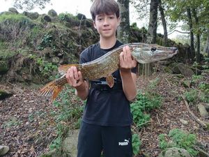 Northern Pike