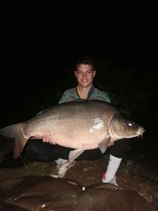 Mirror Carp