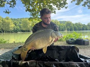 Mirror Carp