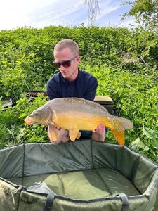 Mirror Carp