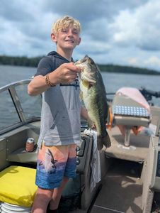 Largemouth Bass