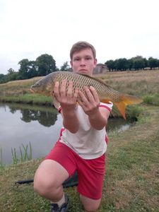 Common Carp