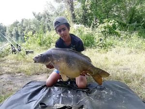 Mirror Carp