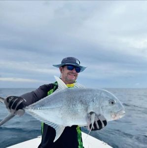 Giant Trevally (GT)
