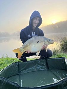 Mirror Carp