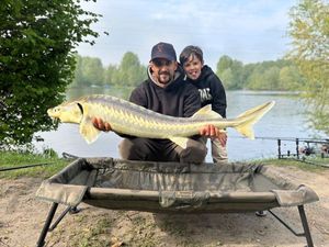 Sturgeon