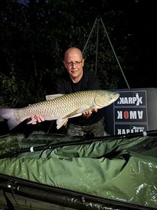 Grass Carp