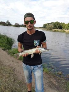 Northern Pike