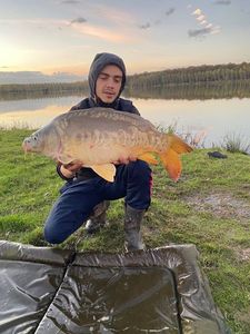 Mirror Carp