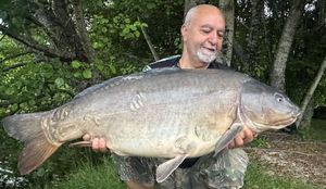 Mirror Carp