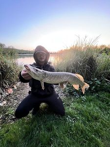 Northern Pike