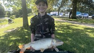 Common Carp
