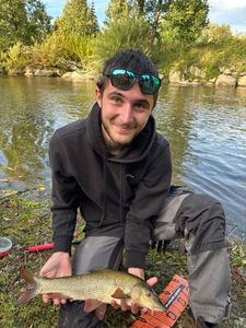 Barbel
