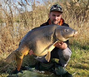 Mirror Carp