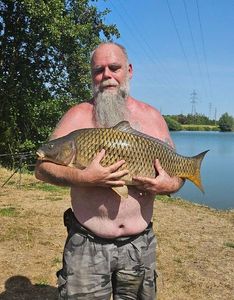 Common Carp