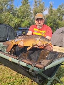Mirror Carp