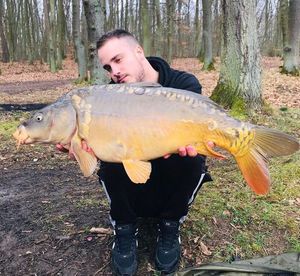 Mirror Carp