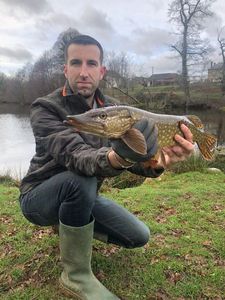 Northern Pike