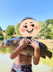 Mirror Carp