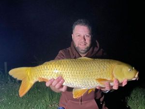 Koï Fish