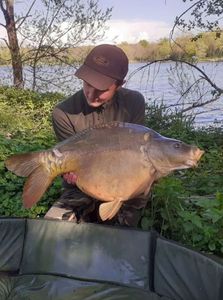 Mirror Carp