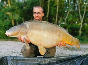 Mirror Carp