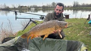 Mirror Carp