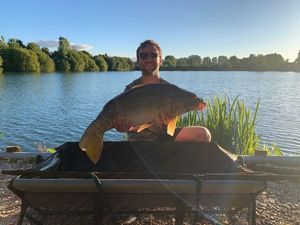 Mirror Carp