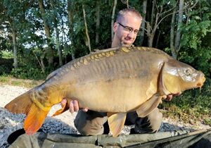 Mirror Carp