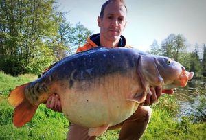 Mirror Carp