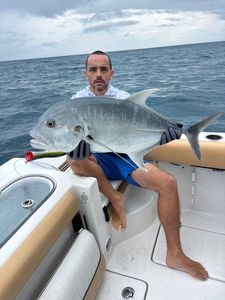 Giant Trevally (GT)