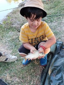 Blue Bream