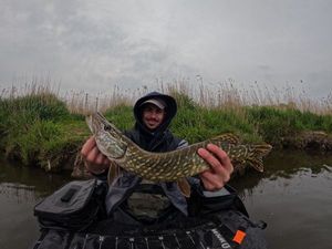 Northern Pike