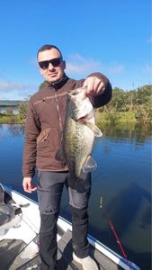 Smallmouth Bass