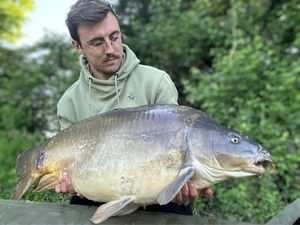 Mirror Carp