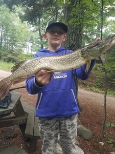Northern Pike