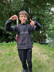 European Perch