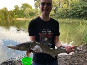 Sturgeon