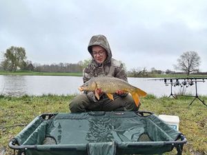Common Carp