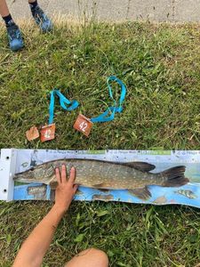 Northern Pike