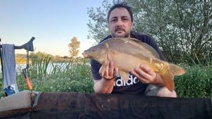 Mirror Carp