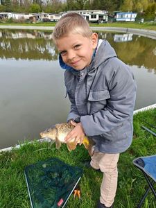 Common Carp