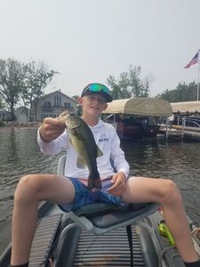 Largemouth Bass