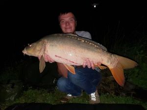 Mirror Carp