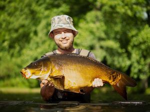 Mirror Carp