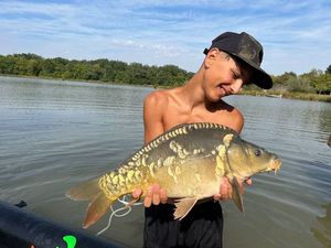 Mirror Carp
