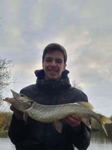 Northern Pike