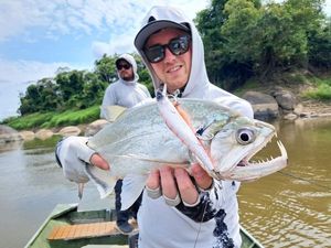 Payara