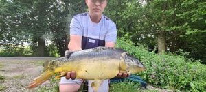 Mirror Carp