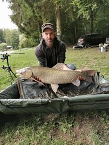 Grass Carp